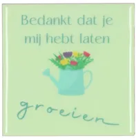 Tegeltje Groeien 10x10x1cm - thumbnail