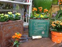 De Wit Handvorkje - thumbnail