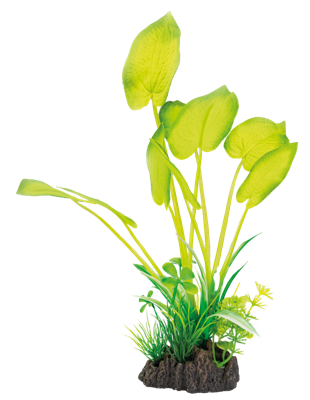 Sf art plant 25 cm echinodorus Superfish - Superfish