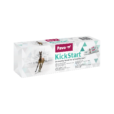 Pavo Kickstart