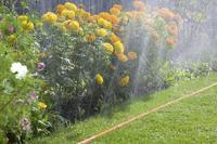 Gardena Sprinkler Hose 15m Set - Flexible Garden Irrigation with Connectors & 10-Year Warranty - thumbnail