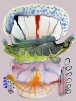 Moooi Carpets - Vloerkleed Bumblebee II Low Pile - - thumbnail