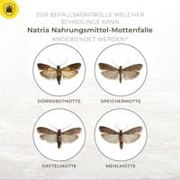 Mottenval 3st - thumbnail