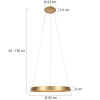 Steinhauer Strakke hanglampRinglux goud Ø 60cm - 3692GO - thumbnail