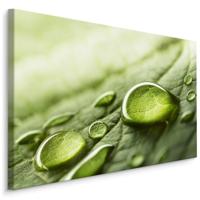 Schilderij - Waterdruppels op een blad, Groen, Premium Print - thumbnail