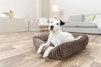 TRIXIE HONDENMAND LIVIA HOEKIG BRUIN 80X60 CM - thumbnail