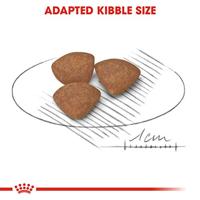 Royal Canin mini voer voor puppy 4kg - thumbnail