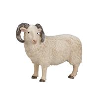 Mojo farmland schaap ram 387097 - thumbnail