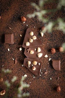 Cocoa Chocolate Hazelnuts Reep Cocoa Chocolate Hazelnuts Reep