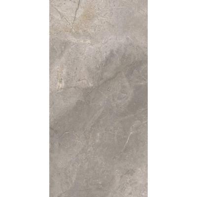 Vloertegel TS-Tiles Stonemaster Silver 60x120 cm TS-Tiles Vloertegel TS-Tiles Stonemaster Silver 60x120 cm TS-Tiles
