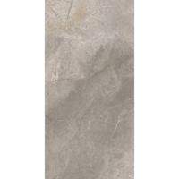 Vloertegel TS-Tiles Stonemaster Silver 60x120 cm TS-Tiles - thumbnail