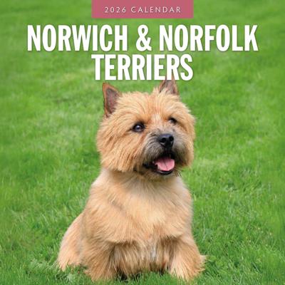 Norwich en Norfolk Terrier Kalender 2026 Norwich en Norfolk Terrier Kalender 2026