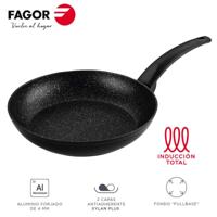 Pan FAGOR VIVANT - thumbnail