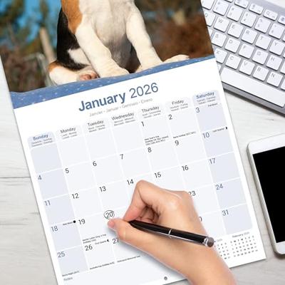 Beagle Kalender 2026 Beagle Kalender 2026