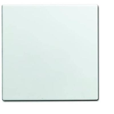 ABB 1576 C-914 Blindafdekking Afdekking Wit, Zuiver wit (RAL 9010) 1 stuk(s)