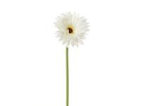Gerbera l58 cm wit zijde nepbloem Louis Maes - Louis maes - thumbnail