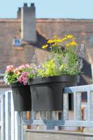 Balkonbak ovaal set 60 cm E&K - antraciet - thumbnail