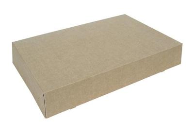 Cateringdoos iezzy 46cm plasticvrij bruin