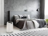 DeLonghi DEXD214F 2,1 l 40 dB 290 W Grijs, Wit - thumbnail