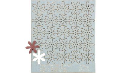 PFERD TOOLS 42730312 Schuursterren Diameter 30 mm 100 stuk(s)