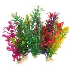Aqua Plants S (10 Cm) 6 Stuks aquaria Superfish - Superfish Aqua Plants S (10 Cm) 6 Stuks aquaria Superfish - Superfish