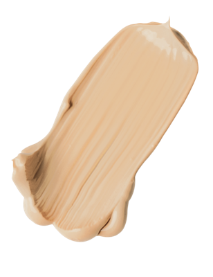 By Terry Terrybly Densiliss Foundation By Terry Terrybly Densiliss Foundation