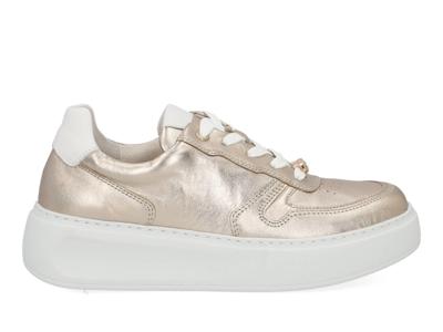 Gabor Sneakers 66.485.82 Goud-37 maat 37