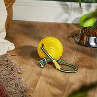 Starmark swing &apos;n fling durafoam fetch bal aan koord - thumbnail