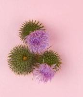 Nivea Naturally good nachtcreme anti-age 50 Milliliter - thumbnail