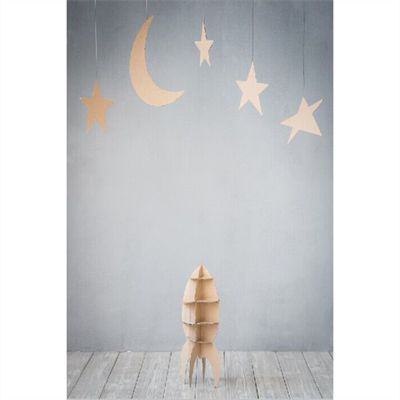 StudioKing achtergronddoek rsg1 2x3m met print