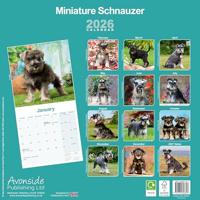 Miniatuur Schnauzer Kalender 2026 - thumbnail