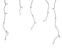 Kerstverlichting LED ijspegelverlichting buiten warm wit 11 meter Lumineo - Lumineo - thumbnail