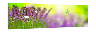 Schilderij -Lavendel en vlinders, 120x40cm. Wanddecoratie, premium print