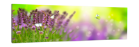Schilderij -Lavendel en vlinders, 120x40cm. Wanddecoratie, premium print - thumbnail