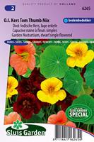 Lage enkele Oost-Indische kers bloemzaden – Oost-Indische kers Tom Thumb mix - thumbnail