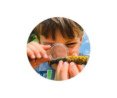 Het CLEMENTONI insectenhuis