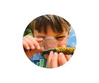 Het CLEMENTONI insectenhuis - thumbnail