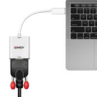 Lindy 38317 video kabel adapter 0,16 m Mini DisplayPort VGA (D-Sub) Wit - thumbnail