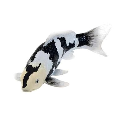 Mojo sealife koi karper - shiro utsuri koi - 381102