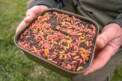 Korum Maggot Tub And Riddle 2Pt. 1.2L