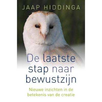 Laatste stap naar bewustzijn (Paperback)