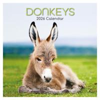 Ezel Kalender 2026 - thumbnail