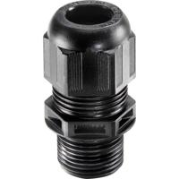 Wiska 10066502 Wartel M20 Polyamide Zwart (RAL 9005) 50 stuk(s) - thumbnail