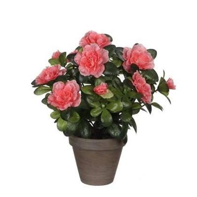 Decoratieve plant Mica Decorations 11,5 x 27 x 20 cm