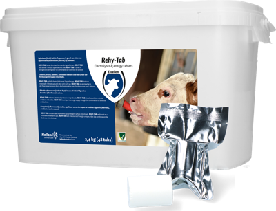 Excellent Rehy-Tab Plus (Bruistablet diarree) 2,4 kg (48 tabs)