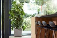 Elho bak vivo mat - 40cm grijs - thumbnail