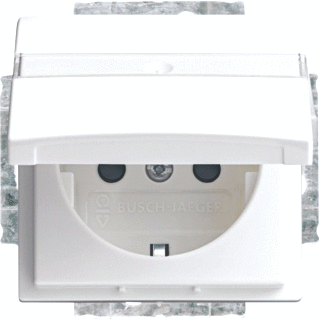 Busch-Jaeger 20 EUKB-914 Wandcontactdoos met randaarde en klapdeksel Inzetstuk Busch-balance SI Alpine-wit 1 stuk(s)