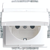 Busch-Jaeger 20 EUKB-914 Wandcontactdoos met randaarde en klapdeksel Inzetstuk Busch-balance SI Alpine-wit 1 stuk(s) - thumbnail