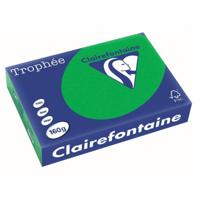 Clairefontaine Trophée Intens, gekleurd papier, A4, 160 g, 250 vel, bijartgroen - thumbnail