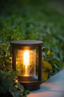 Lucide CADIX - Sokkellamp - Ø 16 cm - 1xE27 - IP65 - Zwart - thumbnail